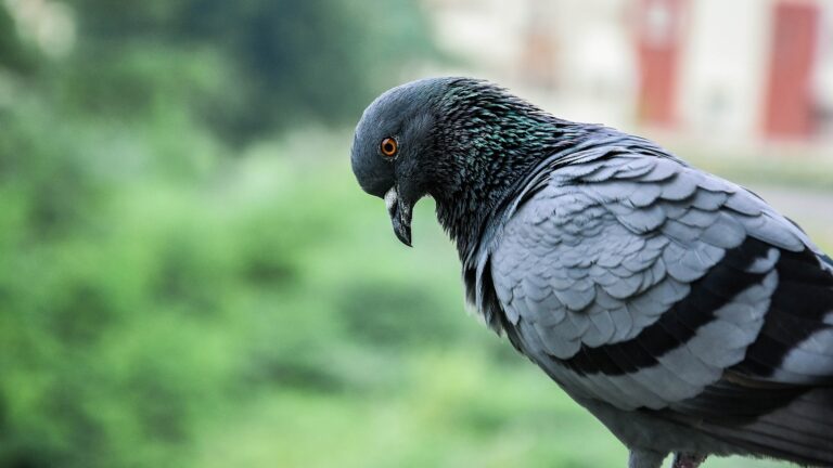 Nom de la formation 3