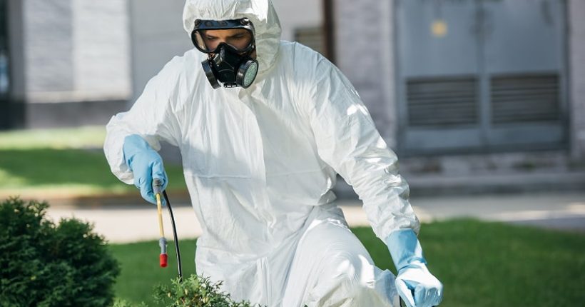 male-pest-control-worker-in-uniform-spraying-chemi-2024-11-17-13-19-48-utc (1) 1-min